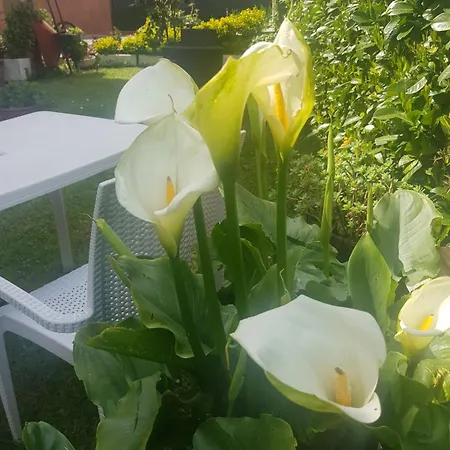 Apartmán Giardino Fiorito Piano di Follo